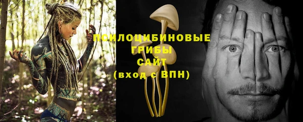 гашик Алзамай
